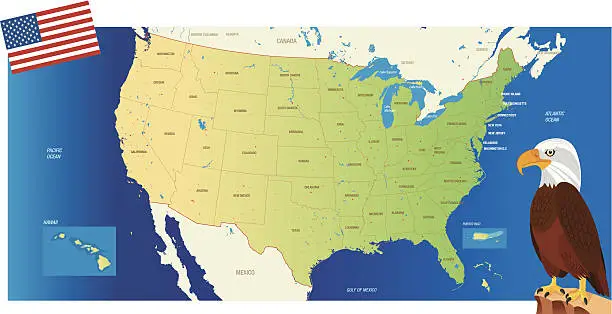 Vector illustration of USA MAP