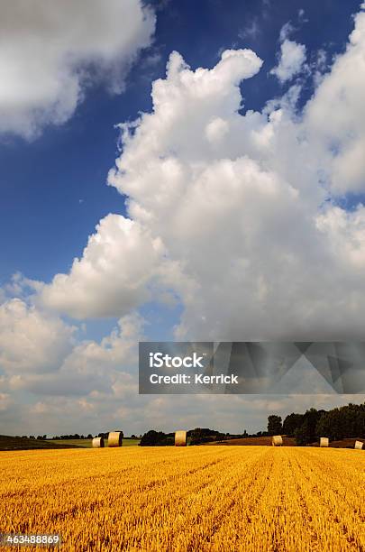 Bale Des Stroh Auf Feld Stockfoto und mehr Bilder von Agrarbetrieb - Agrarbetrieb, Ausgedörrt, Blau