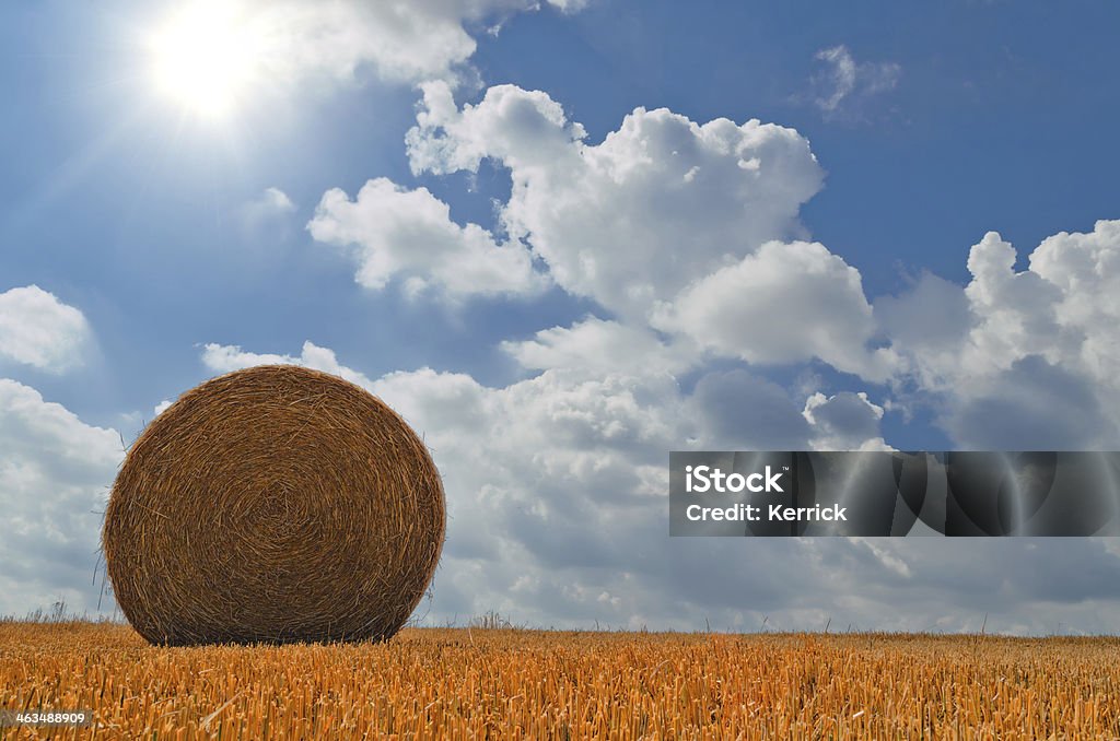 bale des Stroh auf Feld - Lizenzfrei Agrarbetrieb Stock-Foto