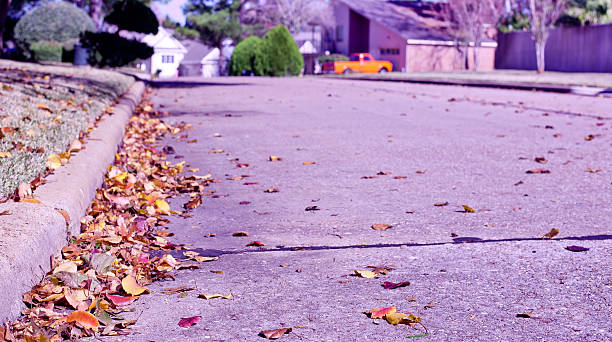 istock Purple tinted Autumn 463488915