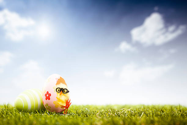 istock Chicken in Easter Egg Chair - Grass Sky Nerd Humor 463494963