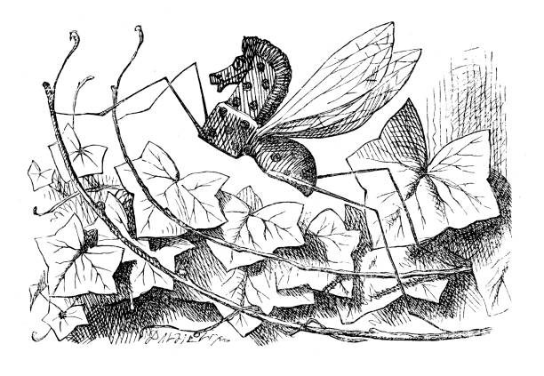 Alice through the looking glass Vintage engraving of a scene from Alice through the looking glass - The strange insects john tenniel stock illustrations