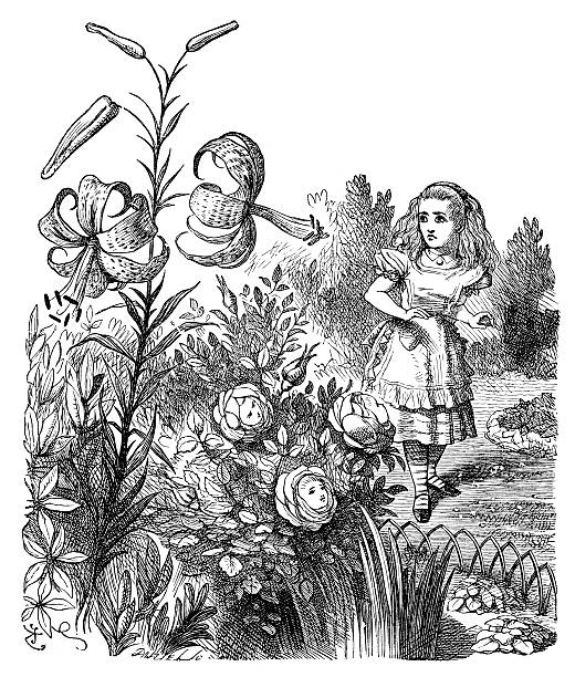 Alice through the looking glass Vintage engraving of a scene from Alice through the looking glass - Alice and the Tiger Lilly john tenniel stock illustrations