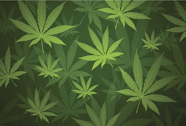 Vector illustration of Marijuana background