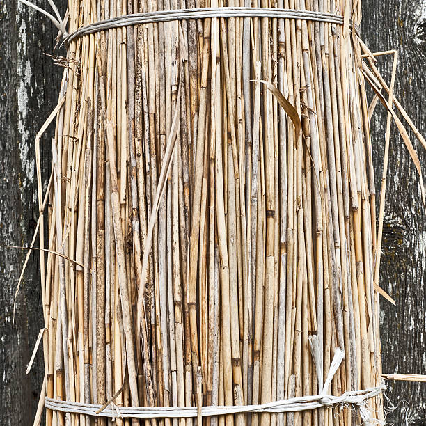 istock Sheaf of straw 463506425