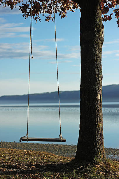 Empty swing during sunset stock photo