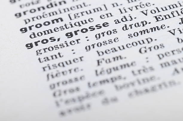 istock French Dictionary at the word Fat 463509815