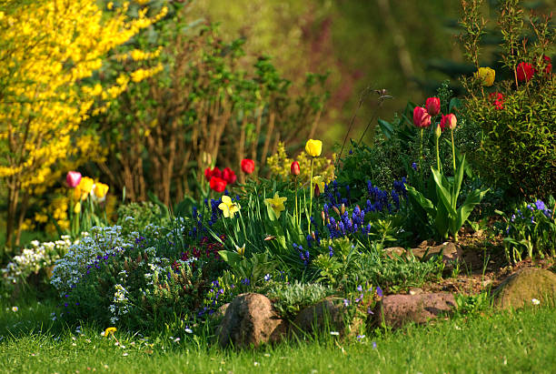 Flower garden stock photo