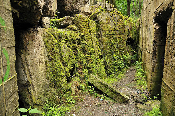 Wolf's Lair. Poland stock photo