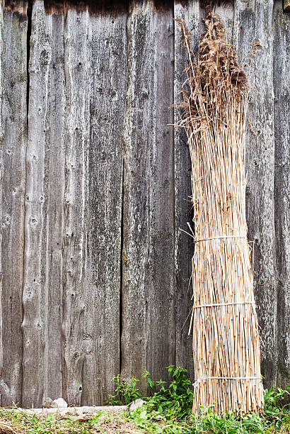 Sheaf of straw