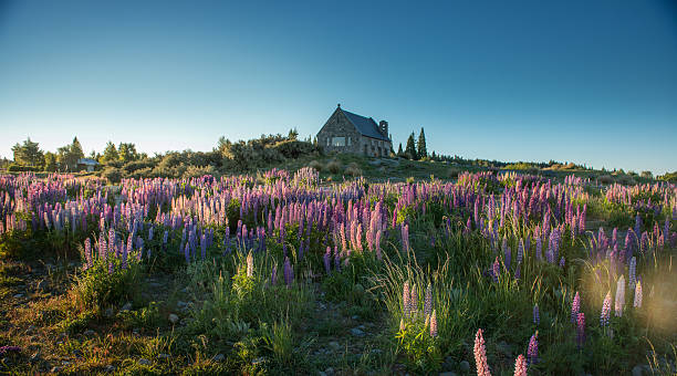 istock Beautiful landscape New Zealand. 463538033