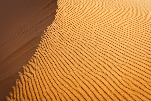 Erg Chebbi Sand Dunes landscape, Morocco, Africa.