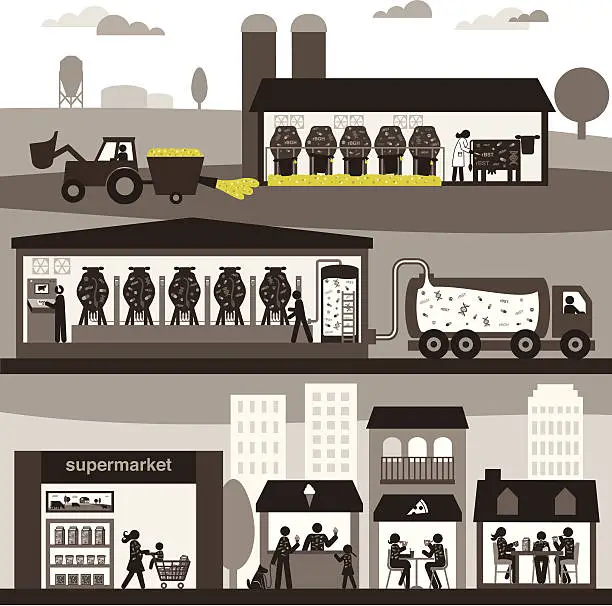 Vector illustration of Conventional Dairy Production