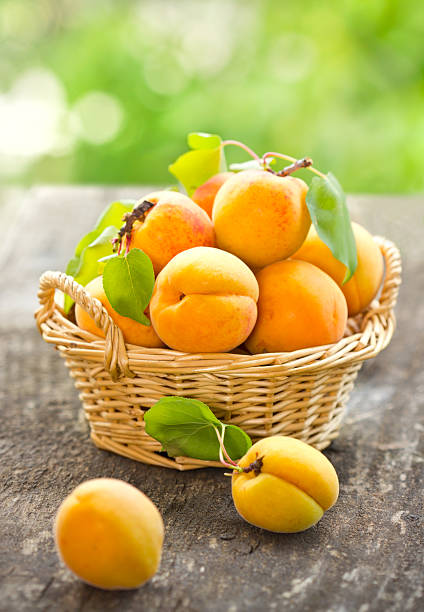 istock Fresh organic apricot 463542525