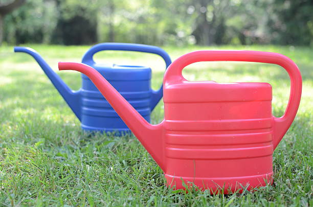 istock Watering flowers in the garden 463547997