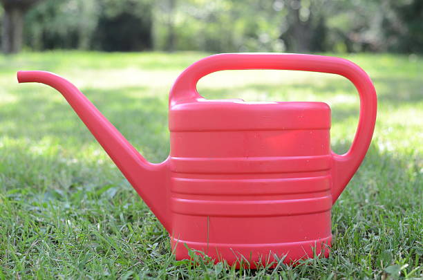 istock Watering flowers in the garden 463548005