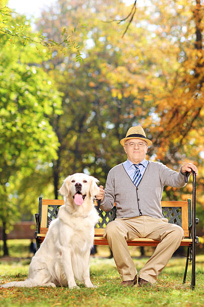 istock Confident senior gentleman sitting on bench with his dog. 463548637