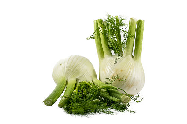 hinojo rebanadas sobre fondo blanco - fennel anise copy space isolated on white fotografías e imágenes de stock