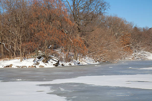 istock Frozen lake in Central Park at winter 463554727