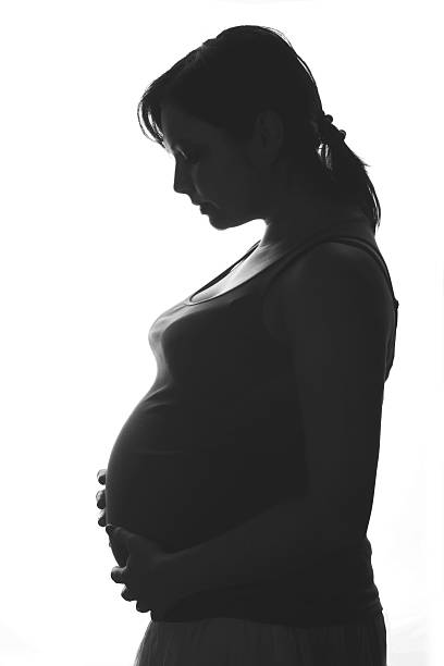 istock Pregnant lady silhouette 463555023