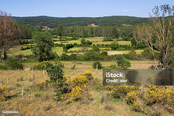 Landscape Of Meadows And Groves Prados Y Arboledas Stock Photo - Download Image Now