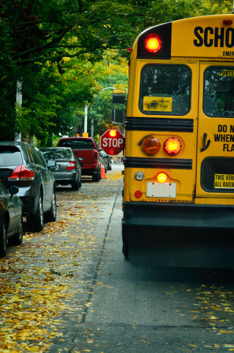 yellow school bus stopped with lights flashing and stop sign out