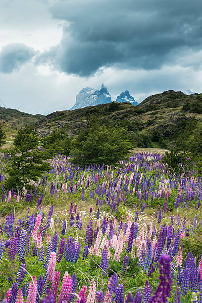 A storm approaches Torres del Paine National Park