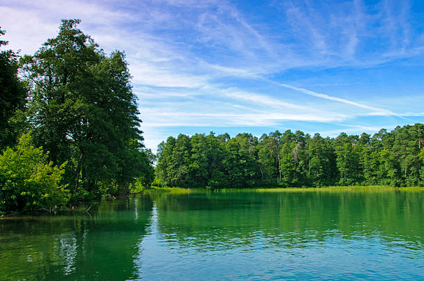 istock Lake White Augustowskie. Augustow. 463559905
