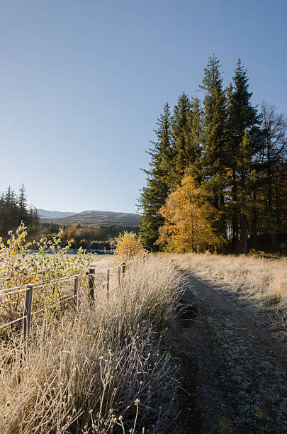 Corrour Estate - Scotland stock photo