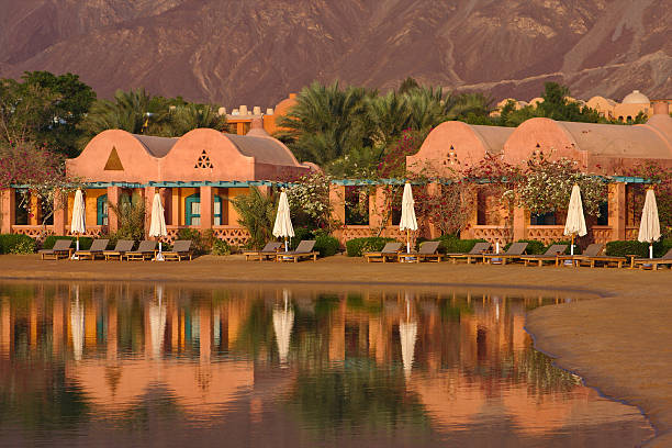 istock Luxury hotel buildings with their's reflection in water 463576431