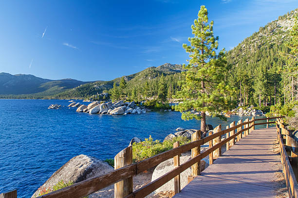 lago tahoe - nevada landscape rock tree imagens e fotografias de stock