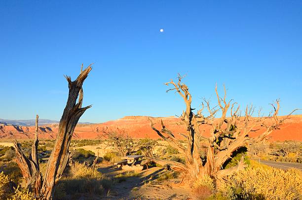 sand bank blick auf den mond - san rafael swell stock-fotos und bilder