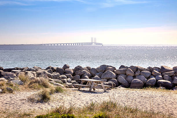 istock Coast of Baltic 463590501