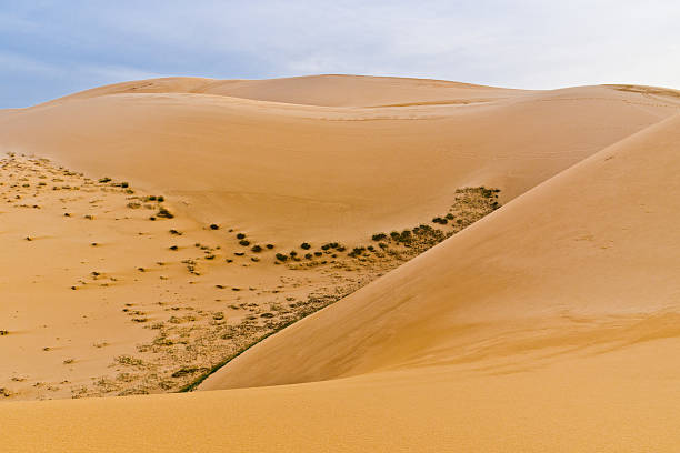 istock Sand dune. Mui Ne. Vietnam 463595759