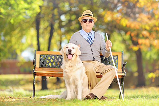 istock Senior blind gentleman sitting on bench with his dog 463601047