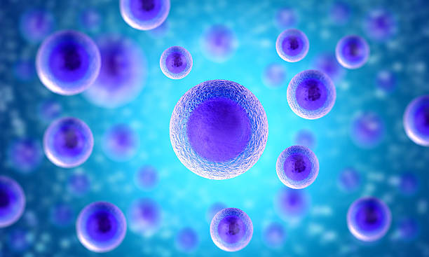 istock Human cells rendering in blue and purple colors 463608769