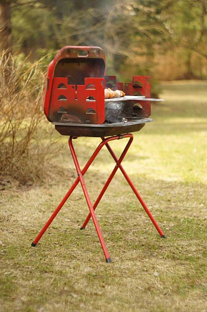 istock Barbecue in summer garden 463609029
