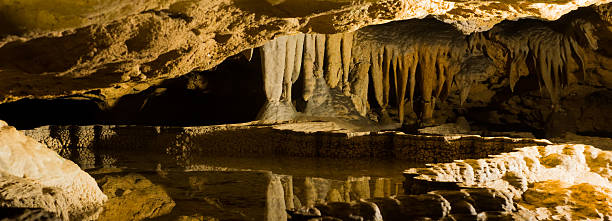 istock Stalactites and stalagmites  inside the cave at Florida Caverns 463609087