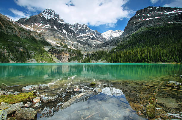 istock Lake Ohara, Yoho national park 463613337