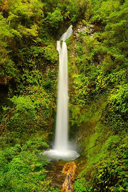 Waterfall in New Zealand stock photo