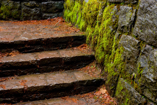 Wet stone wall and stairs covered in moss and leaves
