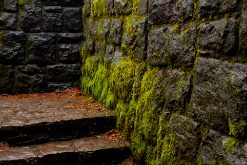 Moss-covered stone wall and stairs in the rain