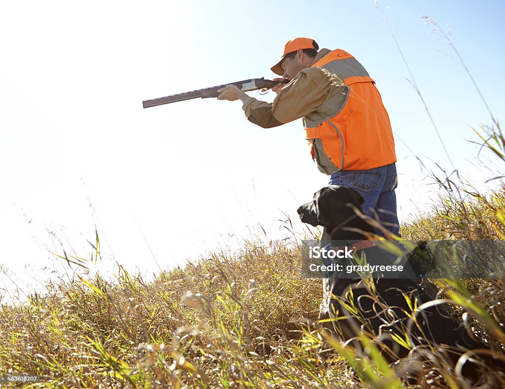 Pronto para incêndio - Foto de stock de Caça royalty-free