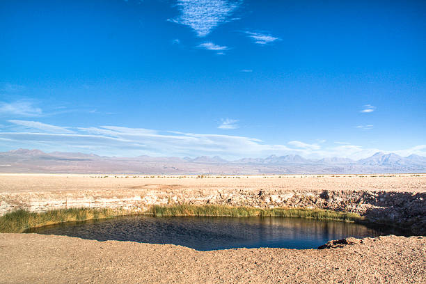 istock Lagoon in the Atacama desert 463618327