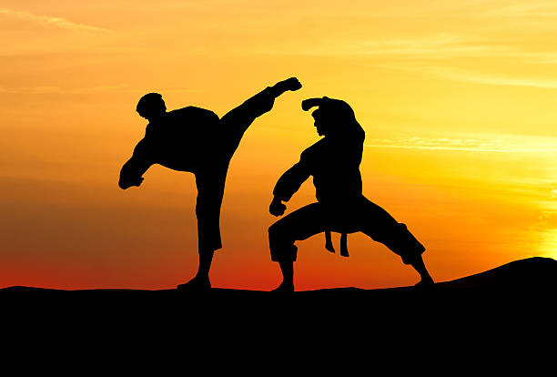 spieler kampf gegen den himmel.  karate. - shaolin stock-fotos und bilder