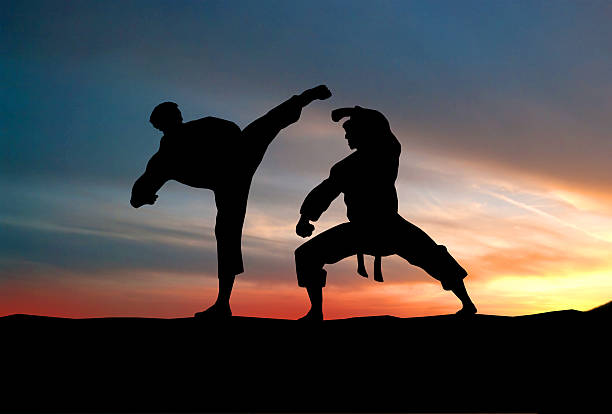 istock Players fight against the sky. Karate. 463625399
