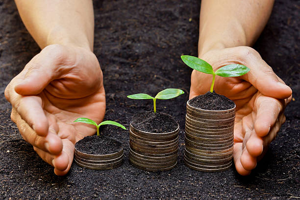istock hands holding tress growing on coins 463629685