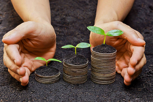 istock hands holding tress growing on coins 463630035