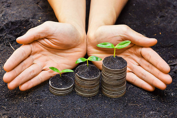 istock hands holding tress growing on coins 463630257