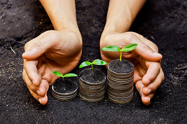 Hands holding trees growing on coins hands holding tress growing on coins / csr / sustainable development / economic growth prosperity stock pictures, royalty-free photos & images